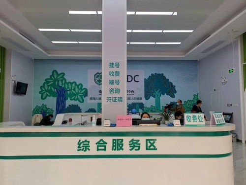 大瀝預防保健門診正式揭牌 夯實基層健康防線，推動全鎮基本公共衛生服務再上新臺階